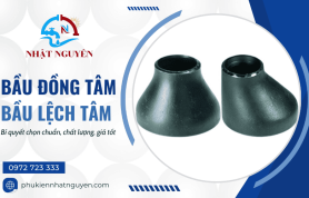 Bí quyết chọn bầu đồng tâm và bầu lệch tâm bền, chuẩn, giá tốt