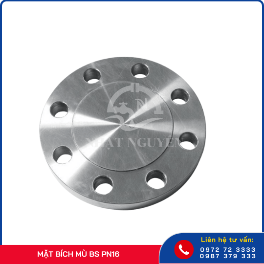 Mặt Bích mù BS PN16